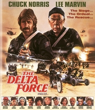 Picture of DELTA FORCE