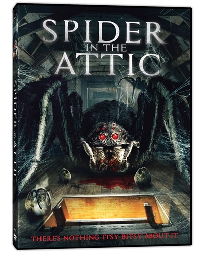 Picture of SPIDER IN THE ATTIC