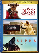 Picture of ALPHA (2018) / DOG'S WAY HOME / HACHI: DOG'S TALE