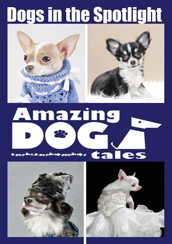 Picture of AMAZING DOG TALES - DOGS IN THE SPOTLIGHT