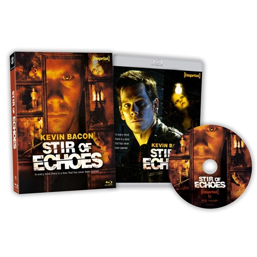 Picture of STIR OF ECHOES (1999)