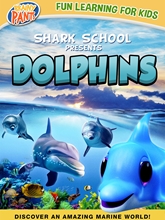 Picture of SHARK SCHOOL: DOLPHINS