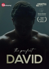 Picture of PERFECT DAVID