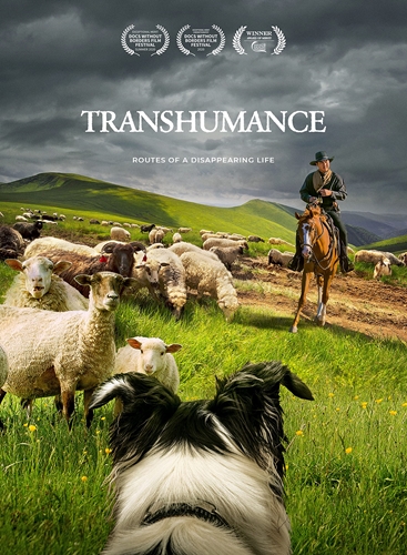 Picture of TRANSHUMANCE: ROUTES TO A DISAPPEARING LIFE