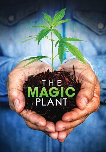 Picture of THE MAGIC PLANT