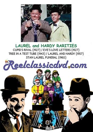 Picture of LAUREL AND HARDY RARITIES (1927 - 1965)