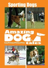 Picture of AMAZING DOG TALES - SPORTING DOGS