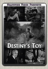 Picture of DESTINY'S TOY (1916)