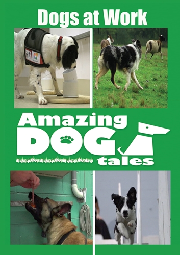 Picture of AMAZING DOG TALES - DOGS AT WORK