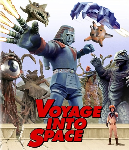 Picture of VOYAGE INTO SPACE