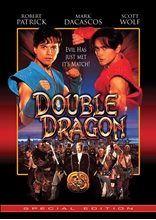 Picture of Double Dragon: Special Edition