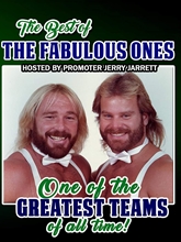 Picture of Best Of The Fabulous Ones Vol 1