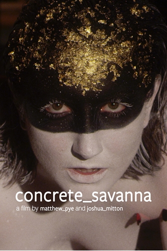 Picture of CONCRETE_SAVANNA