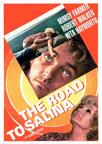 Picture of ROAD TO SALINA (1970)