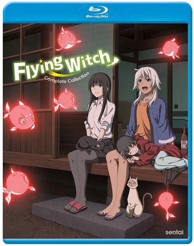 Picture of FLYING WITCH