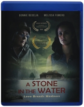 Picture of STONE IN THE WATER