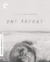 Picture of ASCENT, THE BD