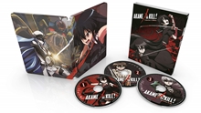 Picture of AKAME GA KILL