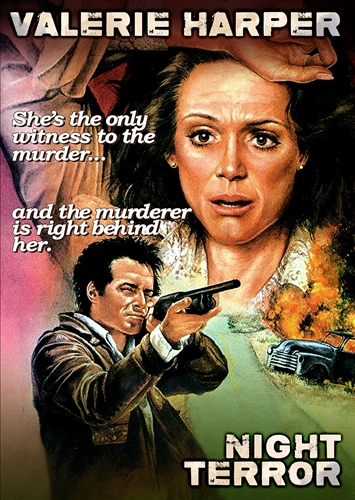 Picture of NIGHT TERROR (1977)