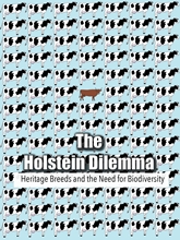 Picture of The Holstein Dilemma