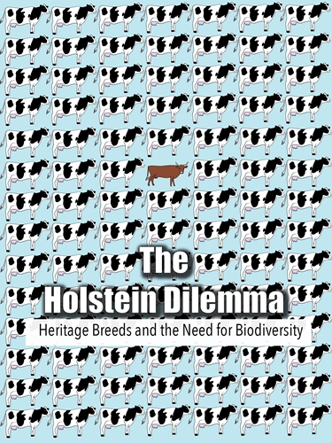 Picture of The Holstein Dilemma