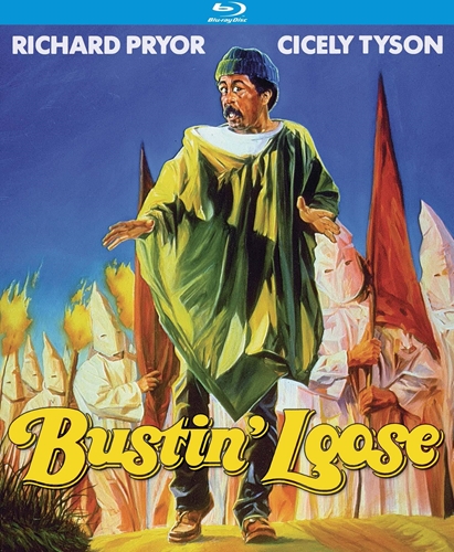 Picture of BUSTIN LOOSE (1981)