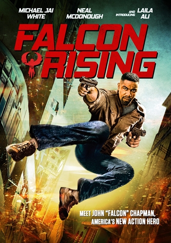 Picture of FALCON RISING