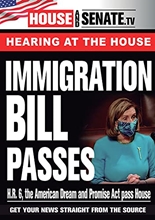 Picture of IMMIGRATION BILL PASSES