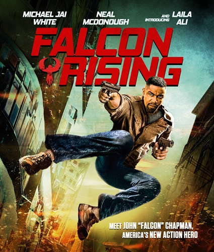 Picture of FALCON RISING