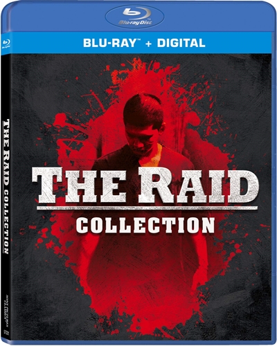 Picture of RAID 2 / RAID: REDEMPTION