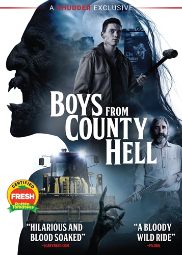 Picture of BOYS FROM COUNTY HELL DVD