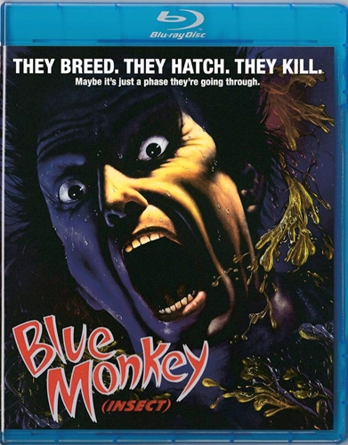 Picture of Blue Monkey (AKA Insect)