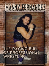 Picture of BEST OF MANNY FERNANDEZ 1