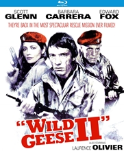 Picture of WILD GEESE II (1985)