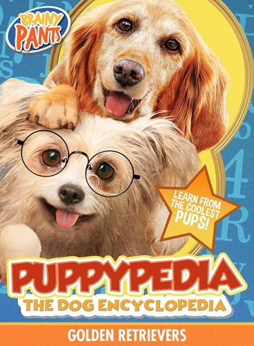 Picture of PUPPY-PEDIA THE DOG ENCYCLOPEDIA: GOLDEN RETRIEVER