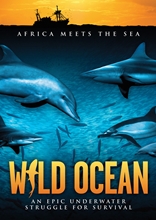 Picture of Wild Ocean