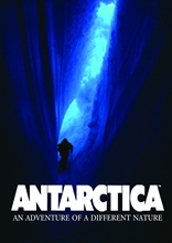 Picture of ANTARCTICA