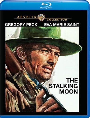 Picture of STALKING MOON (1969)