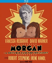 Picture of MORGAN: A SUITABLE CASE FOR TREATMENT (1966)