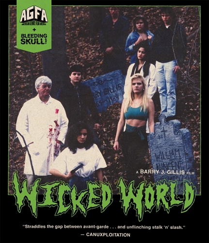 Picture of Wicked World