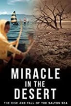 Picture of MIRACLE IN THE DESERT: THE RISE AND FALL