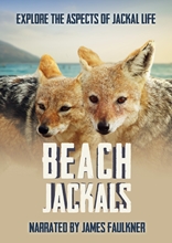 Picture of Beach Jackals