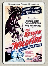 Picture of RETURN OF WILDFIRE