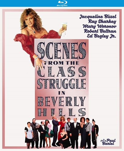 Picture of SCENES FROM CLASS STRUGGLE IN BEVERLY HILLS (1989)