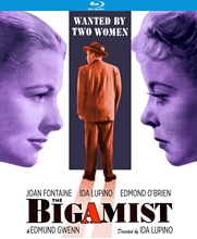 Picture of BIGAMIST (1953)