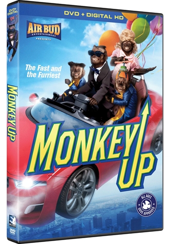 Picture of MONKEY UP DVD