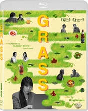 Picture of GRASS