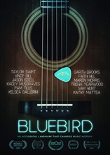 Picture of BLUEBIRD