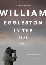 Picture of WILLIAM EGGLESTON IN THE REAL WORLD