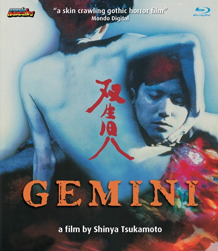 Picture of GEMINI